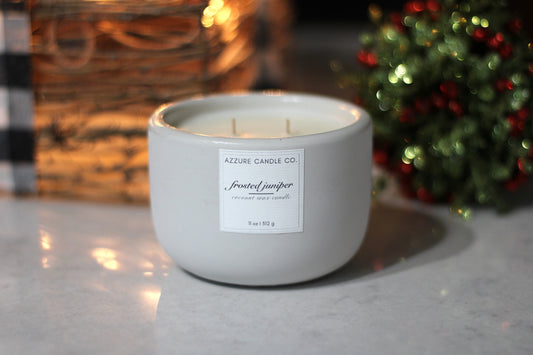 Frosted Juniper Scented Concrete Candle